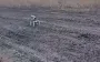 Ukrainian fighters neutralised Russian FPV waiting drone on fibre optic cable. VIDEO