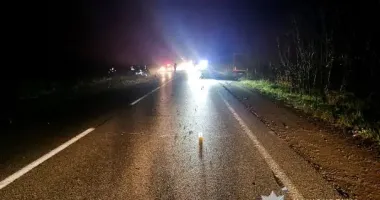 Смертельное ДТП в Харьковской области: погибла 17-летняя девушка, водителя задержали