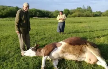 Ходитимуть по домівкам і збиратимуть дані: українців попередили про новий облік