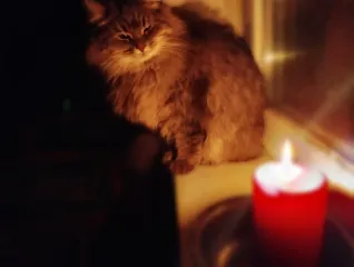 Отключения света в Украине: нардеп рассказал, как долго будут действовать графики (видео)