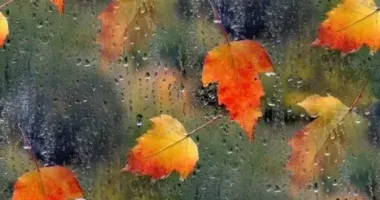 На Україну насувається циклон з дощами і похолоданням