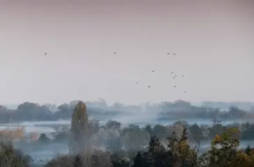 Киев и область накроет густой туман: видимость 200–500 метров