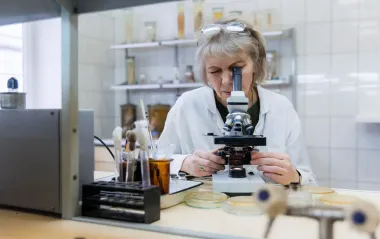 В Киевской области зафиксировали птичий грипп: кто переносчик и как уберечь хозяйство