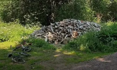 Не бери й маленького дрючка: як законно збирати дрова в українському лісі, щоб не потрапити на штраф