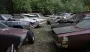 Огромная секретная коллекция раритетных ретро-авто ржавеет под открытым небом на свалке (видео)