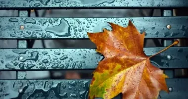 Завтра в Україні буде холодно і дощитиме