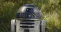 Что общего у скворцов и R2-D2 из "Звездных войн": они "разговаривают" на одном языке (видео)