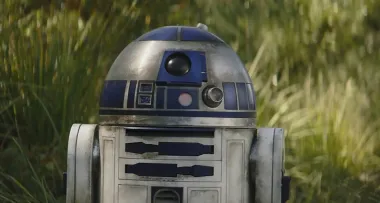 Что общего у скворцов и R2-D2 из "Звездных войн": они "разговаривают" на одном языке (видео)