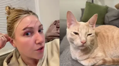 Женщину подставил ее собственный кот перед важным событием: она не знает, как ей быть дальше (видео)