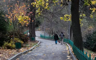 Украину накроет облачность и дожди: прогноз погоды на 13 ноября