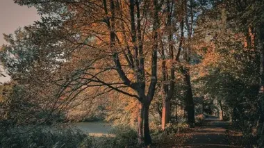Синоптики оновили прогноз на четвер: до чого готуватися українцям