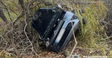 На Київщині легковик вилетів у кювет та врізався в дерево: троє постраждалих