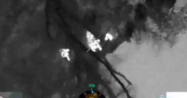 На Закарпатті поблизу кордону зі Словаччиною затримали групу втікачів