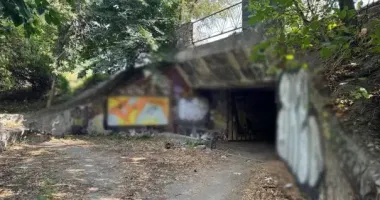 У Києві засудили чоловіка, який у підземному переході зґвалтував 23-річну дівчину