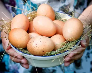 Чим замінити яйце у тісті: лайфхаки, які реально працюють