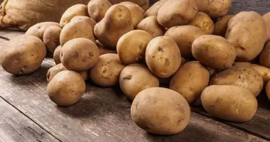 В Україні значно подешевшав популярний овоч