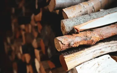 Дрова подорожчали на 20% перед зимою: скільки коштують та які є альтернативи