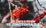Яке завтра, 15 листопада, свято — все про цей день, яке церковне свято, що не можна робити