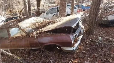 Раритеты под открытым небом: в лесу нашли большое кладбище редких ретроавто (видео)