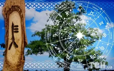 Кельтський гороскоп дерев на 15 листопада 2025 року: Терезам — гармонія, Овнам — рішучість