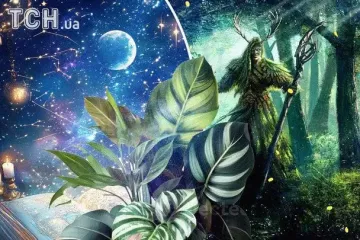 Растительный гороскоп друидов на 15 ноября: Весам – покой, Овнам – решимость