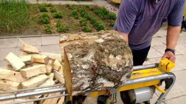 Шокуюча правда про дрова: скільки років вони дійсно залишаються придатними для опалення