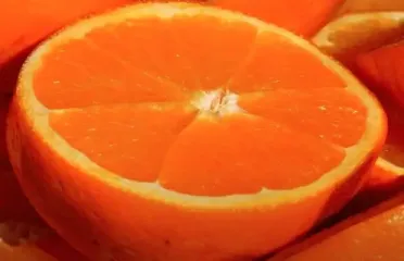 Апельсин из семян: как вырастить дерево самостоятельно дома