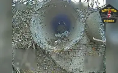 Ukrainian drone operators of 5th SAB eliminated seven invaders: one of them tried to hide in pipe. VIDEO