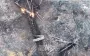 Occupier catches fire after drone hit and tries to flee: FATUM’s combat performance. VIDEO