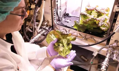 NASA обнаружило, что космический салат не спасет астронавтов во время полета на Марс