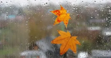 В Україні значно похолодає, але подекуди очікується до +17