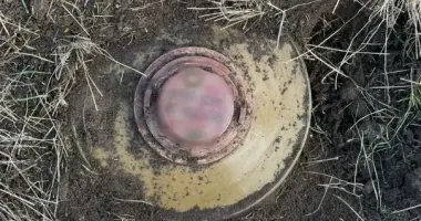 В Николаевской области обезвредили еще одну мину вблизи места, где подорвался трактор