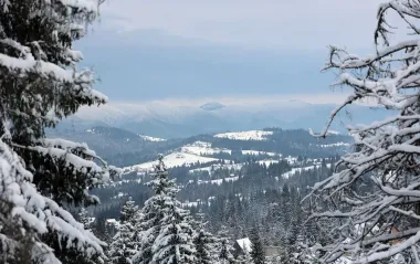 Сніг накрив частину України: де сьогодні все побіліло (фото, відео)