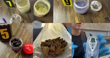 Супружескую пару из Одессы будут судить за сделки с наркотиками