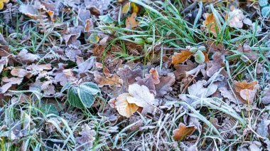 Дождь, мокрый снег и до -5° – погода на ближайшие дни