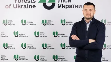 Forestry enterprise Forests of Ukraine sells 100% of timber offered at forward auctions for H1 2026