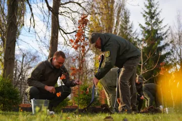 "Forests of Ukraine" planted a billion trees in different parts of the country — photo