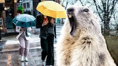 Прогноз погоды 19 ноября: где будет дождливо и снежно, а где +20