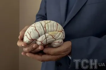 Как психические расстройства меняют мозг: ученые сделали впечатляющее открытие