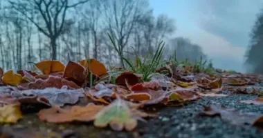 Завтра в Україні переважатиме холодна погода, але подекуди очікується до +14