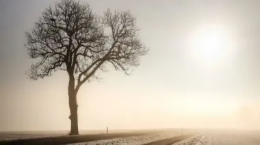 Вдень дощі, а вночі мороз – прогноз погоди на 20-21 листопада