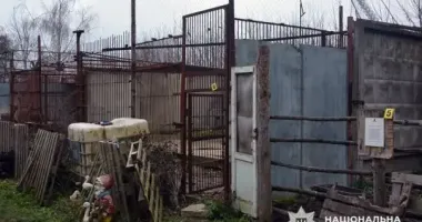 Бегство львиц в Хмельницком: владельцу зооуголка сообщили о подозрении
