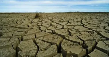 На Дніпропетровщині критично обміліла популярна водойма: місцеві говорять про екокатастрофу