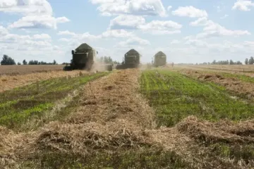 В Україні врожаї можуть стати токсичними на десятиліття: екологи забили на сполох