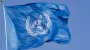 Генассамблея ООН поддержала резолюцию о перемирии во всех войнах на время Олимпиады-2026