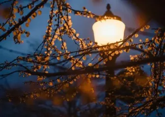 День ангела 20 ноября: кого и как поздравлять с именинами