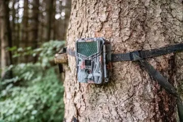 Чоловік залишив камеру в печері на 10 років і не був готовий до того, що вона зафіксувала (фото)