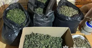 30 кг канабісу та мільйон готівкою: поліція Полтавщини ліквідувала групу наркодилерів