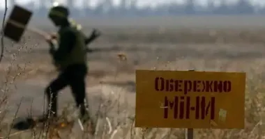Разминирование в Украине: фермеры получили еще более 34 тысяч гектаров