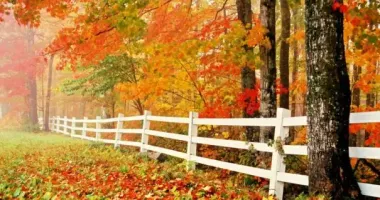 В Украину идет потепление до +20 градусов